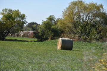 Hay Bale in a Farm Field