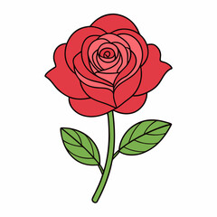 Vector illustration of a single rose with petals and leaves