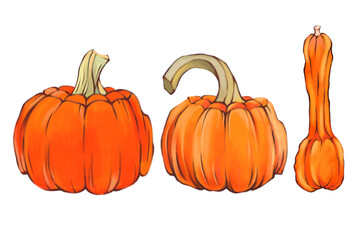 pumpkins, autumn vegetables, halloween pumpkins