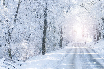Winter landscape with snow-covered trees and road