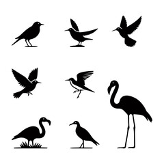 Various Kinds of Birds Silhouette Vector Art Image