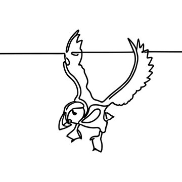 recommend clip art: line drawing of a puffin bird