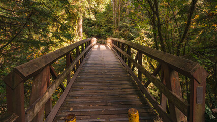 Wooden footbridge in forest.