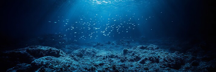 Naklejka premium Stunning Underwater Scene with Sunlight and Fish School