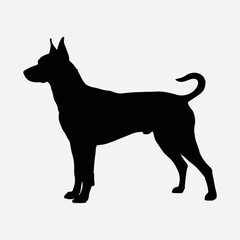 Silhouette Dog white background isolated image