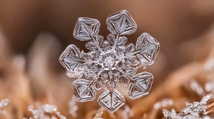 Fototapeta premium Detailed Macro Shot of a Stunning Snowflake
