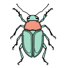 bug isolated on white background