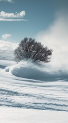 Powerful Blizzard Sweeping Across Open Prairie Landscape