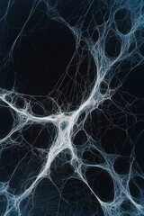 Naklejka premium Intricate Spiderweb Closeup in Monochrome Delicate Silk Threads on Dark Background - Haunting Nature's Artistry for Halloween and Educational Concepts