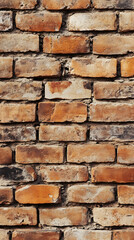 A close-up view of a weathered brick wall showcasing its textured surface and warm tones in natural lighting