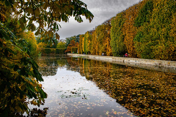 Autumn Oliwa park, Gdansk. Yellow leaves and the lake