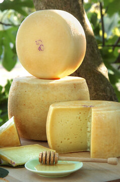 Forma di formaggio pecorino stagionato