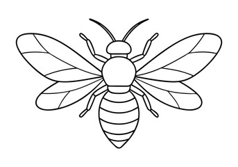 Continuous Line Art of a Honeybee with Wings Spread – Nature-Inspired Vector