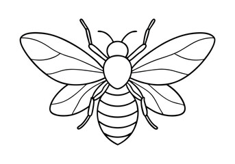 Continuous Line Art of a Honeybee with Wings Spread – Nature-Inspired Vector