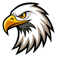 american bald eagle