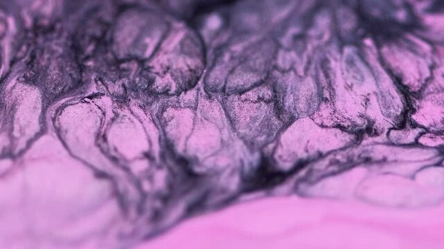 Sparkling wave. Ink motion. Defocused glitter texture. Shining pink black emulsion fluid mix flows mystical hypnotical abstract background.
