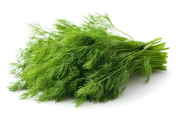 Fototapeta premium Vibrant Green Dill Herb Isolated on Clean White Background for Culinary Use
