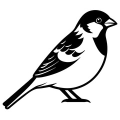 silhouette of a bird