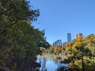 Central Park in Fall, New York - October 2024