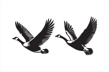 Goose silhouette  vector illustration, Goose silhouette bundle 
