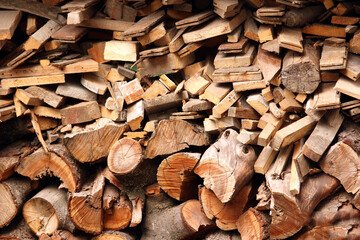 stylish background in a park on the nature of the wood for