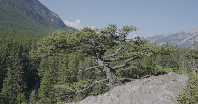 view from the top of the mountain