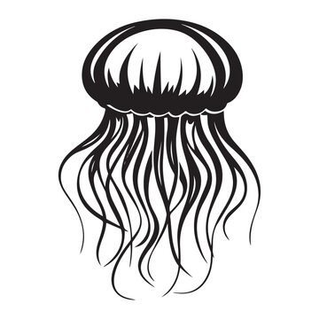 recommend clip art: Black vintage silhouette jellyfish icon logotype and vector illustration, Jellyfish vector for logo or icon, coloring page for kids, line art, black and white