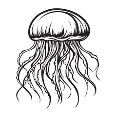 Black vintage silhouette jellyfish icon logotype and vector illustration, Jellyfish vector for logo or icon, coloring page for kids, line art, black and white