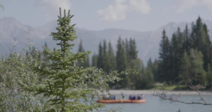 tree brunch with a view of the lake as a group of people passing by in a canoe 