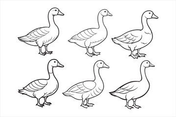 Goose line art vector illustration, Goose Silhouette vector 