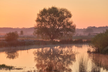 morning on the river