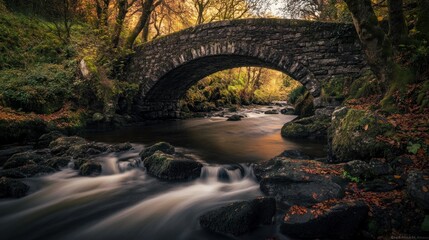 Fototapeta premium Stone Bridge Over a Stream in the Forest