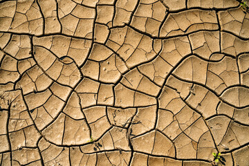 Cracked dry earth background. Heat, drought, climate change concept.