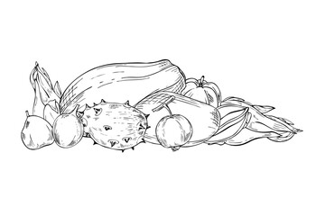 Tasty exotic tropical fruit mix hand drawn black and white vector illustration. Whole Papaya, kiwano, maracuja , guava, Pitahaya and mango fruits monochrome composition. For summer design