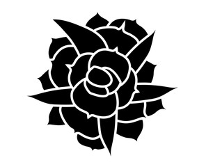 Aeonium haworthii view from top. Simple style vector illustration or icon. Succulent plant in black and white flat style. Useful for print and design