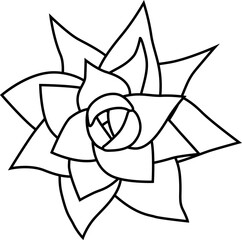 Aeonium mascaense view from top. Simple style vector illustration or icon. Succulent plant in black and white flat style. Useful for print and design