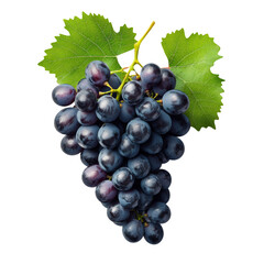 Fototapeta premium Blue grapes bunch isolated on white background. Generative AI