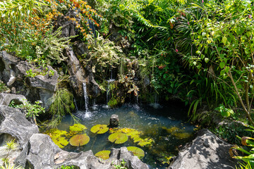 Small ornamental pond with Lily pads and artificial waterfall, surrounded with a variety of plants...