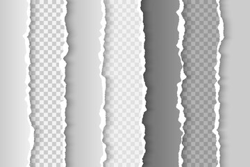 A set of torn paper edges in various gray shades on a transparent background. Realistic vector illustration
