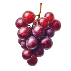 Fototapeta premium red grapes bunch isolated on white background. Generative AI