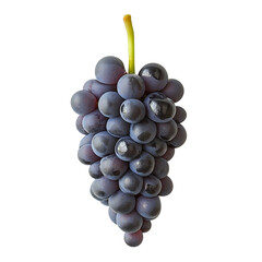 Blue grapes bunch isolated on white background. Generative AI
