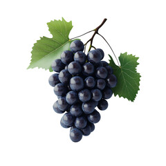 Obraz premium Blue grapes bunch isolated on white background. Generative AI