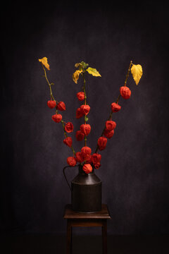 Painterly renaissande still life with orange lantern flower braches in old vase on stool