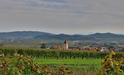 Burkheim am Kaiserstuhl im Herbst
