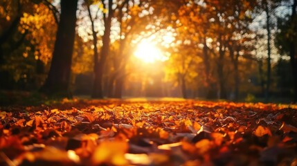 A serene autumn scene with sunlight filtering through trees onto a carpet of fallen leaves.
