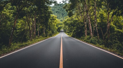 Fototapeta premium Asphalt Road through Lush Green Forest