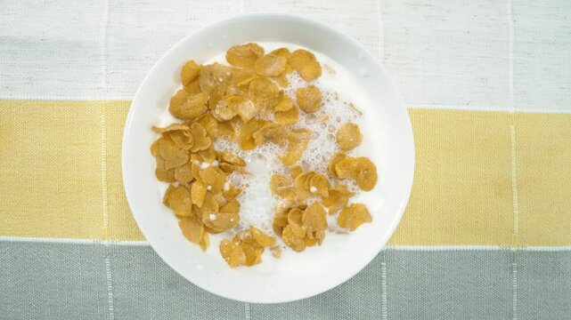 Close up of a white bowl of cereal with milk being poured into it. Macrography of white milk pouring in to bowl with yellow cornflake and splashing milk with isolated white background. Pabulum.