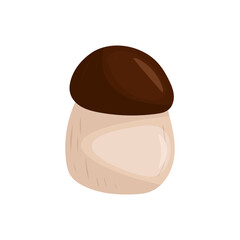 White mushroom on white background vector illustration
