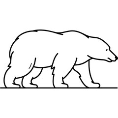 Polar bear. Vector outline icon. 