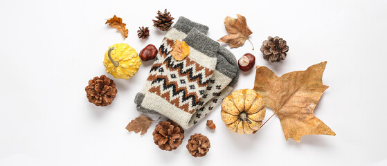 Beautiful composition with warm socks and pumpkins on white background